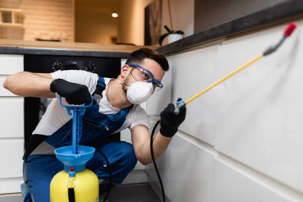 Best Pest Inspection Near Me  in Hawi, HI