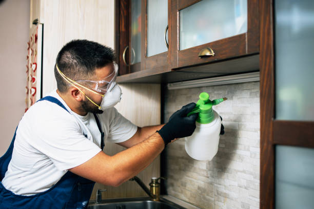 Best Commercial Pest Control Services  in Hawi, HI