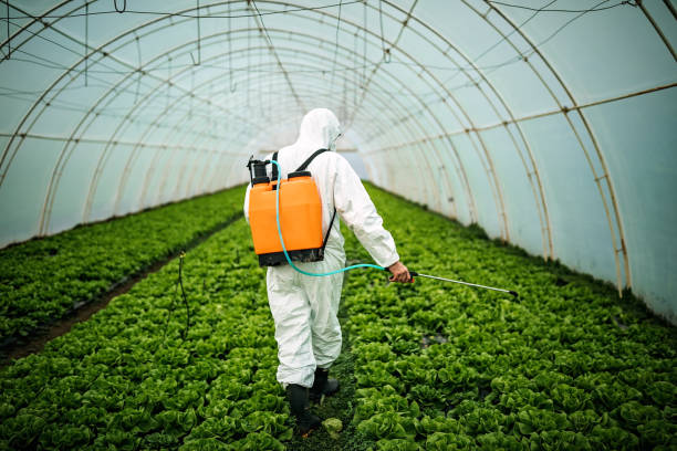 Best Affordable Exterminators  in Hawi, HI