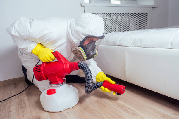 Best Best Pest Control Companies  in Hawi, HI