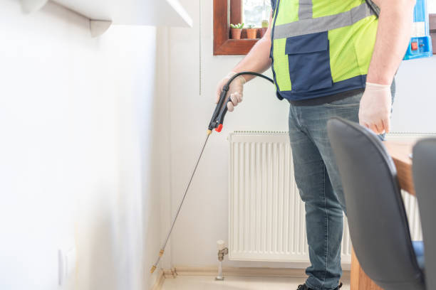 Best Emergency Pest Control  in Hawi, HI