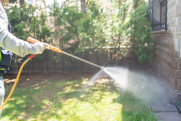 Best Flea Control Services  in Hawi, HI